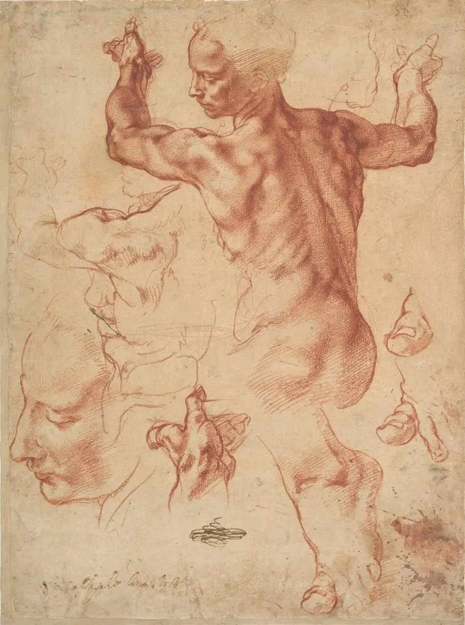 Studies for the Libyan Sibyl by Michelangelo