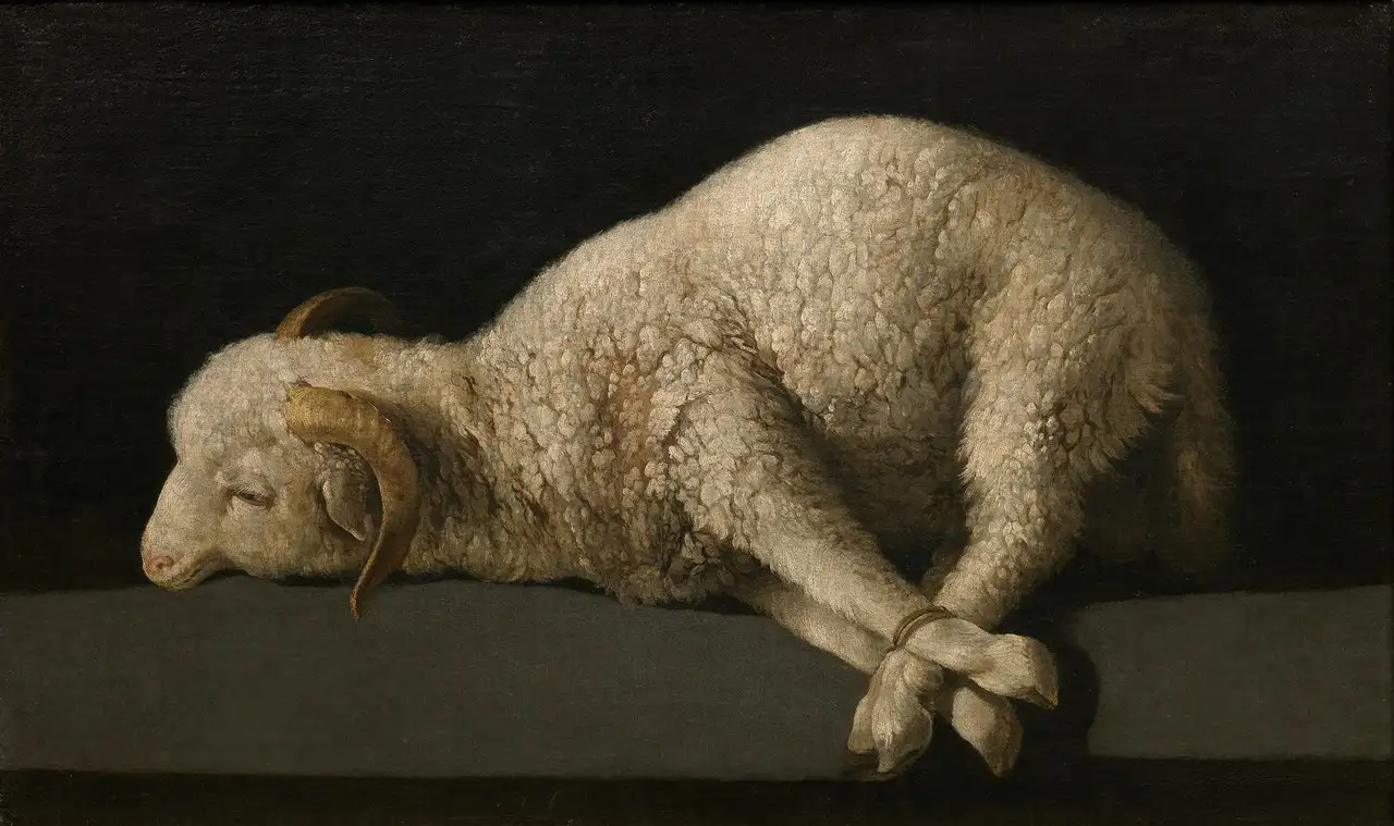 Agnus Dei (Lamb of God) by Francisco de Zurbarán